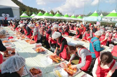 '2026 해남미남축제'가 오는 30일부터 삼산면 두륜산 도립공원 일원에서 개최된다. 해남군 제공