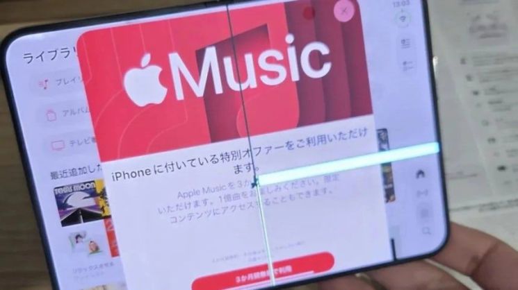 사회관계망서비스(SNS) 캡처