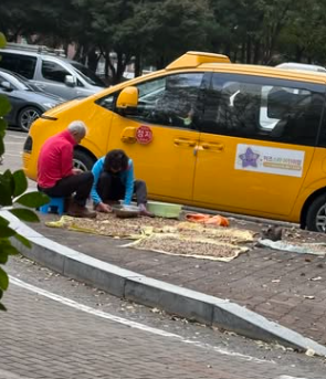 온라인에 사진을 공개한 누리꾼이 "오늘은 도토리 양이 더 늘었다"며 추가로 업로드한 사진. 스레드 캡처 @ydg0105