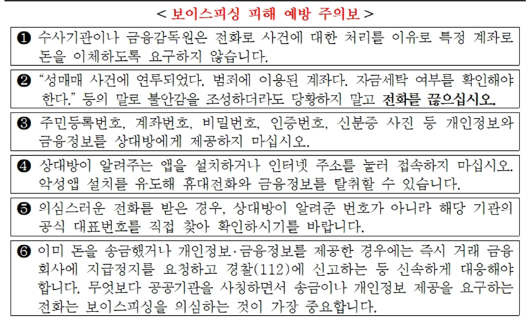 '그놈 목소리' 2030 노렸다…81억 뜯은 베트남 거점 피싱 일당 