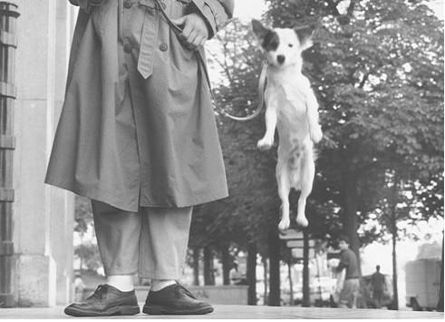 Paris-Elliott Erwitt