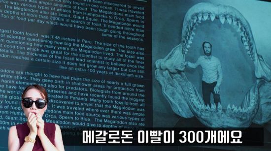 사진=영화 '메가로돈' 스틸컷, 편집=씨쓰루
