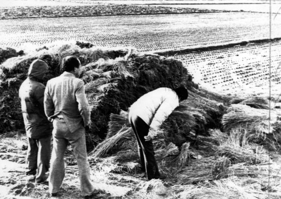지난 1987년 1월 5차 사건 현장인 화성 황계리 현장을 경찰이 살펴보고 있다. 사진=연합뉴스