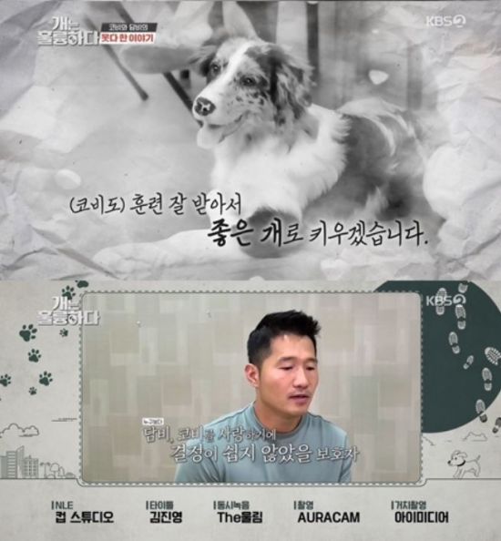 "입양보내겠다"…'상습 유기' 의혹 코비·담비 견주, 근황 전해