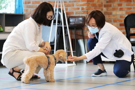 성동구 문제행동 반려견 맞춤형 행동교정 인기