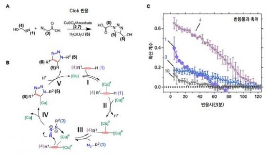 무너진 화학상식 "반응에너지는 분자를 움직인다"