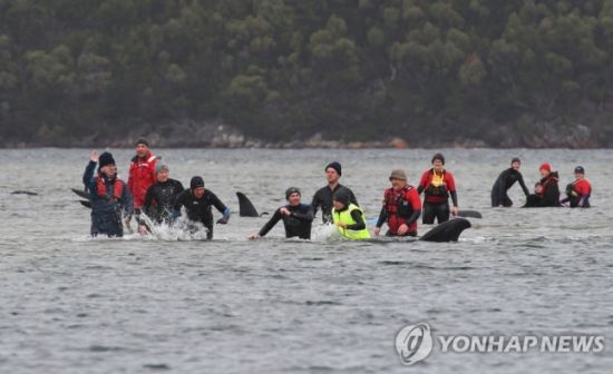 호주 해변에 