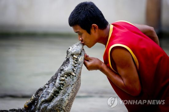 Australian man bitten by a crocodile’s head, showing power with bare hands…  Open chin