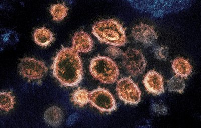 Brazil blocks northern cities due to the spread of mutant virus