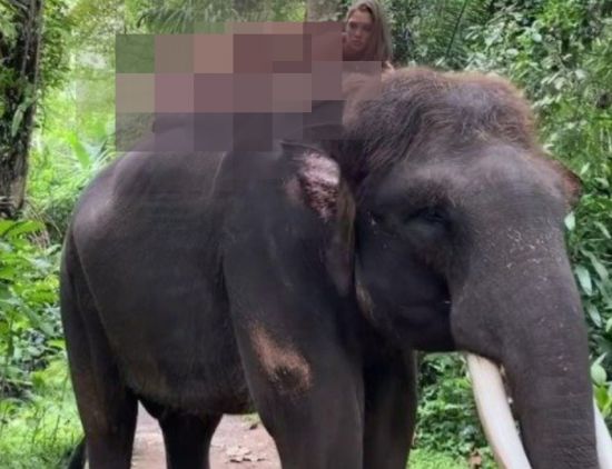 Russian model riding an elephant naked…  ‘Animal Cruelty’
