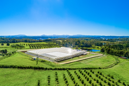 메디콕스, 호주 대마 재배 기업 ‘그린파머스’에 전략적 지분 투자 결정