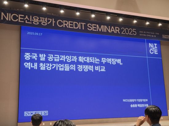 나신평 "철강산업, 중국 수요 둔화 지속으로 경쟁 심화 지속 전망"