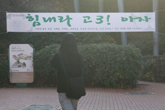 경찰 교통관리 사진