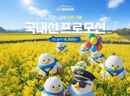 에어부산 하계 스케줄 오픈 국내선 특가 홍보 이미지