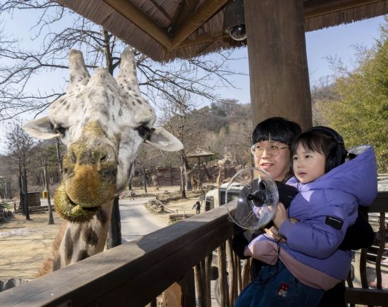 에버랜드, 어린이 체험 교육 프로그램 '이큐브스쿨' 멤버 모집