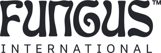 지디벤처스, D2C 브랜드 에그리게이터 '펑거스인터내셔널' 프리시드 투자