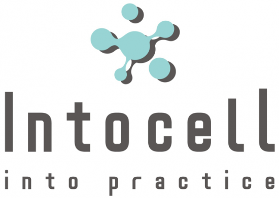 인투셀, ADC 신약 'ITC-6146RO' 글로벌 임상 1상 본격화