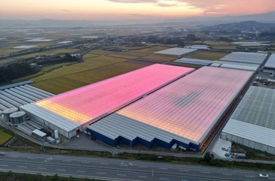 우듬지팜, 70억 규모 CB 발행…서산 스마트팜 조성·운영 자금 확보