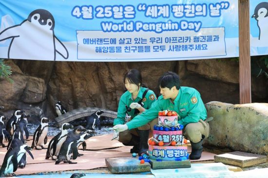 에버랜드, '세계 펭귄의 날' 앞두고 특별 프로그램 진행