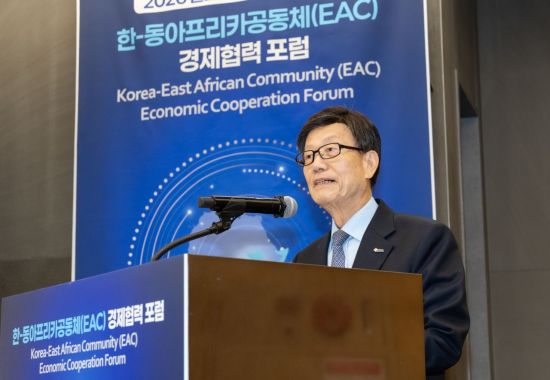 "아프리카, 핵심광물 등 잠재력 커…韓기업 협력 주목해야"