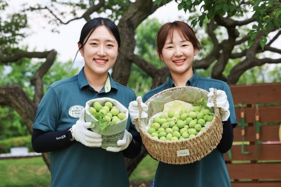  에버랜드, 초여름 '매실따기' 이색 체험 진행