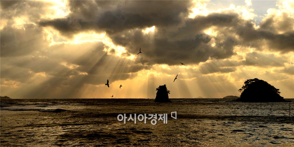 기사이미지