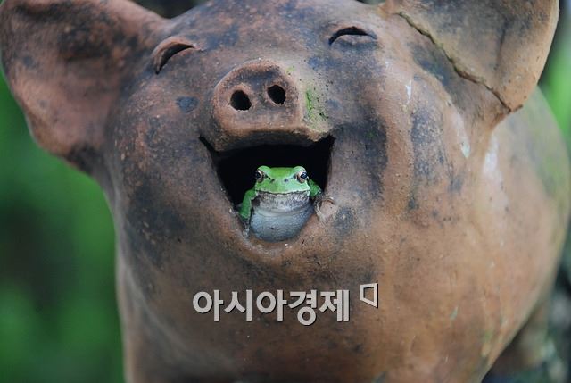 기사이미지