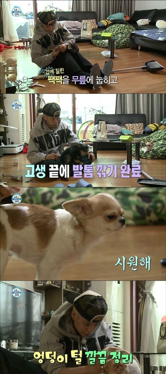 기사이미지