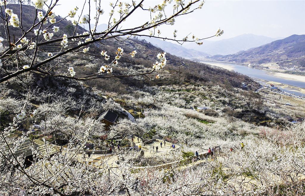기사이미지