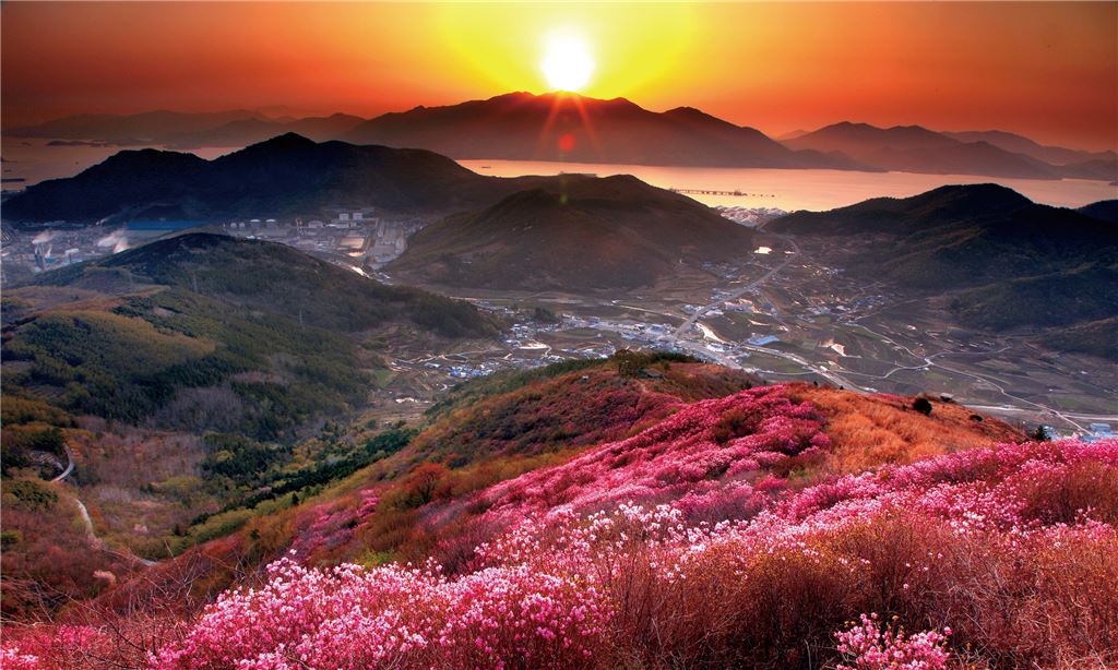 기사이미지