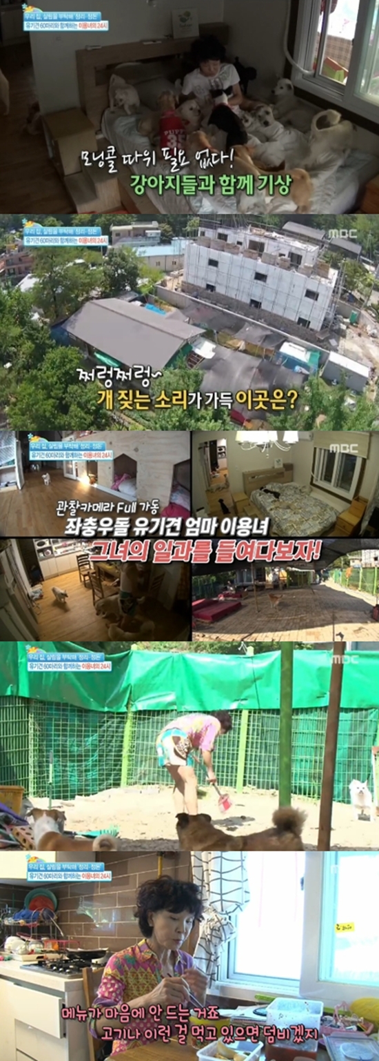 기사이미지