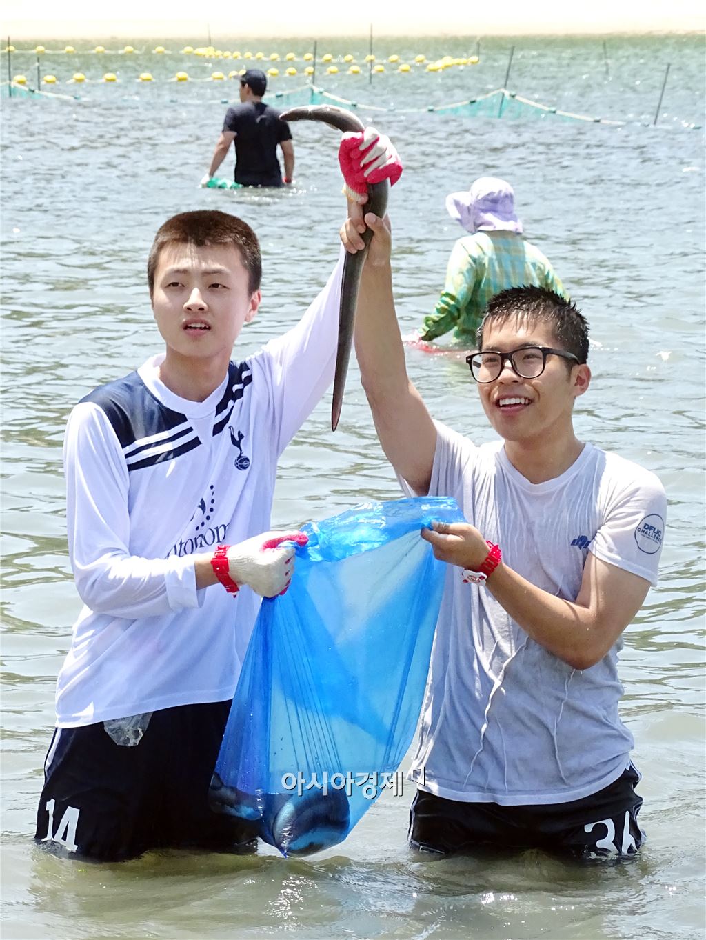 기사이미지