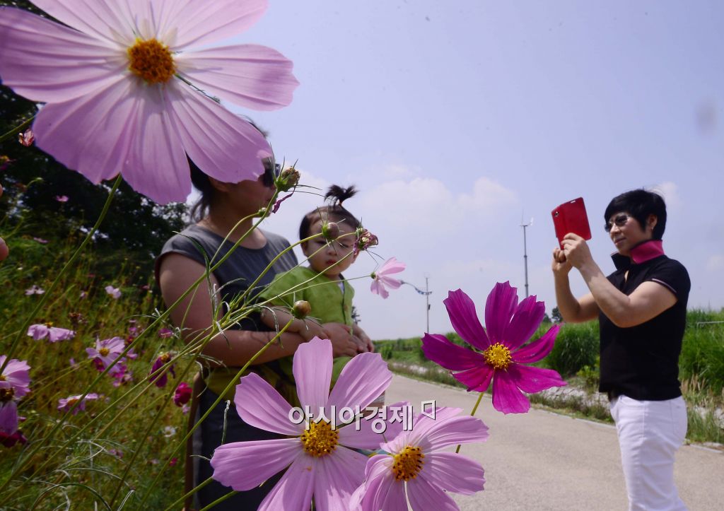 기사이미지
