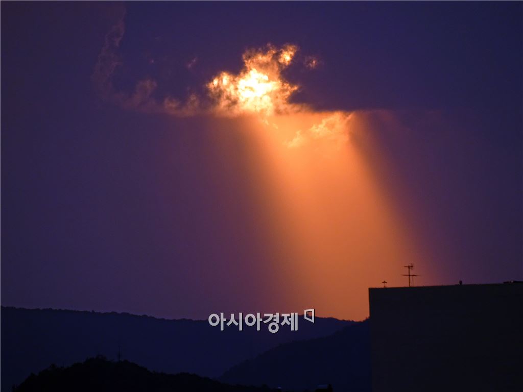 기사이미지