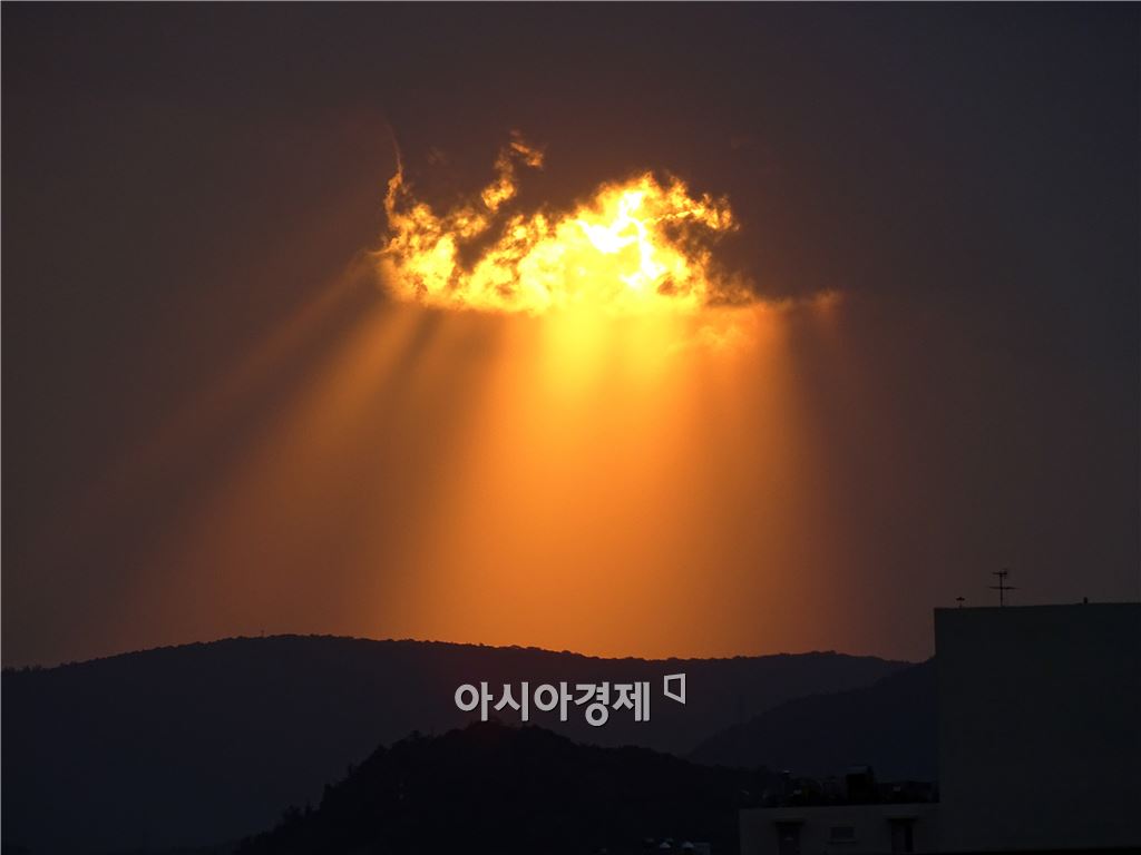 기사이미지