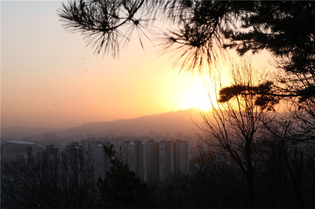 기사이미지