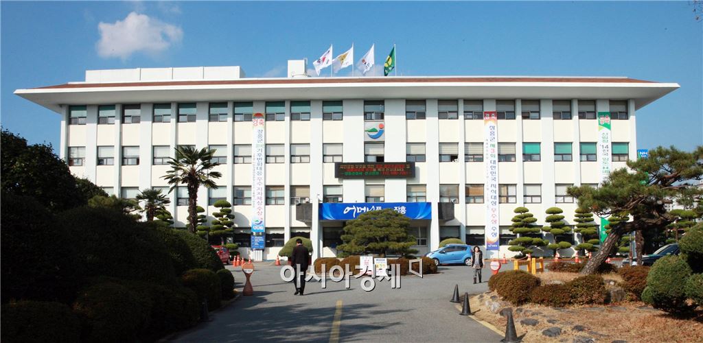 기사이미지