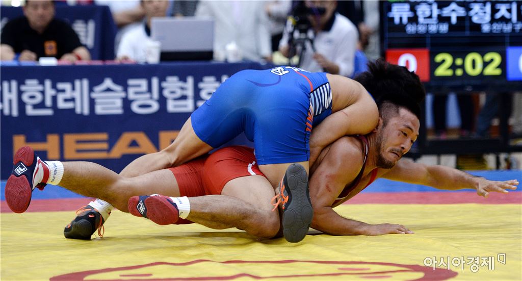기사이미지