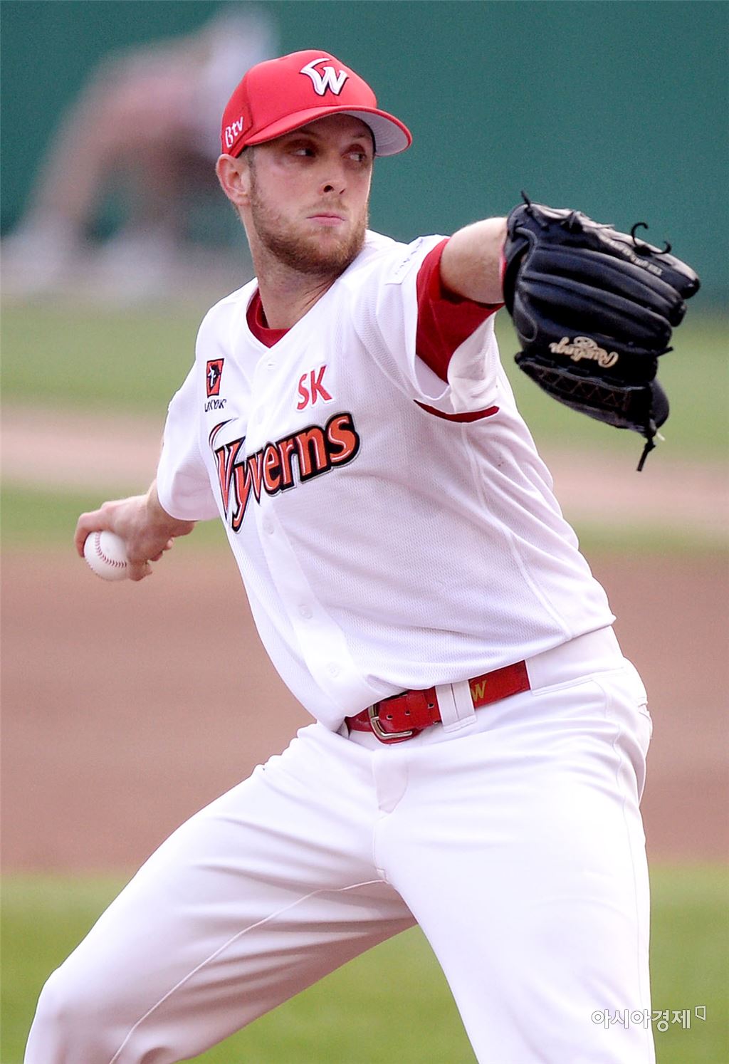 기사이미지