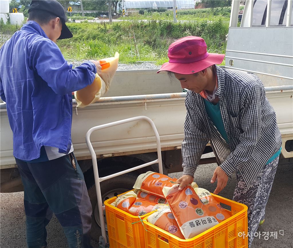 기사이미지