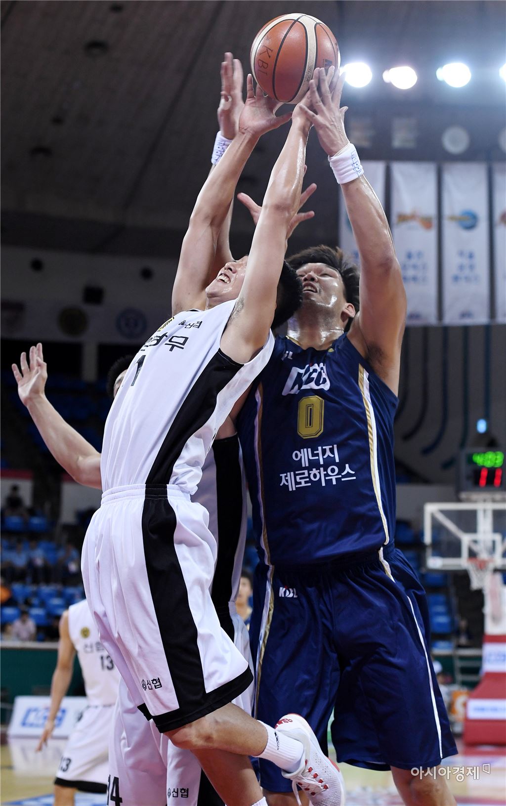 기사이미지