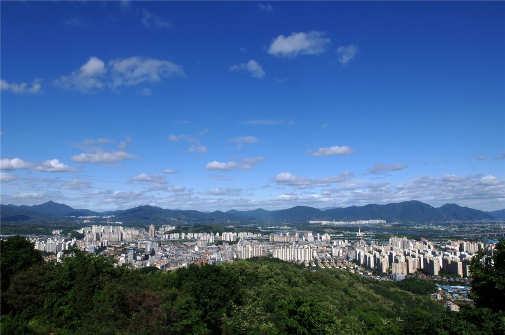 기사이미지