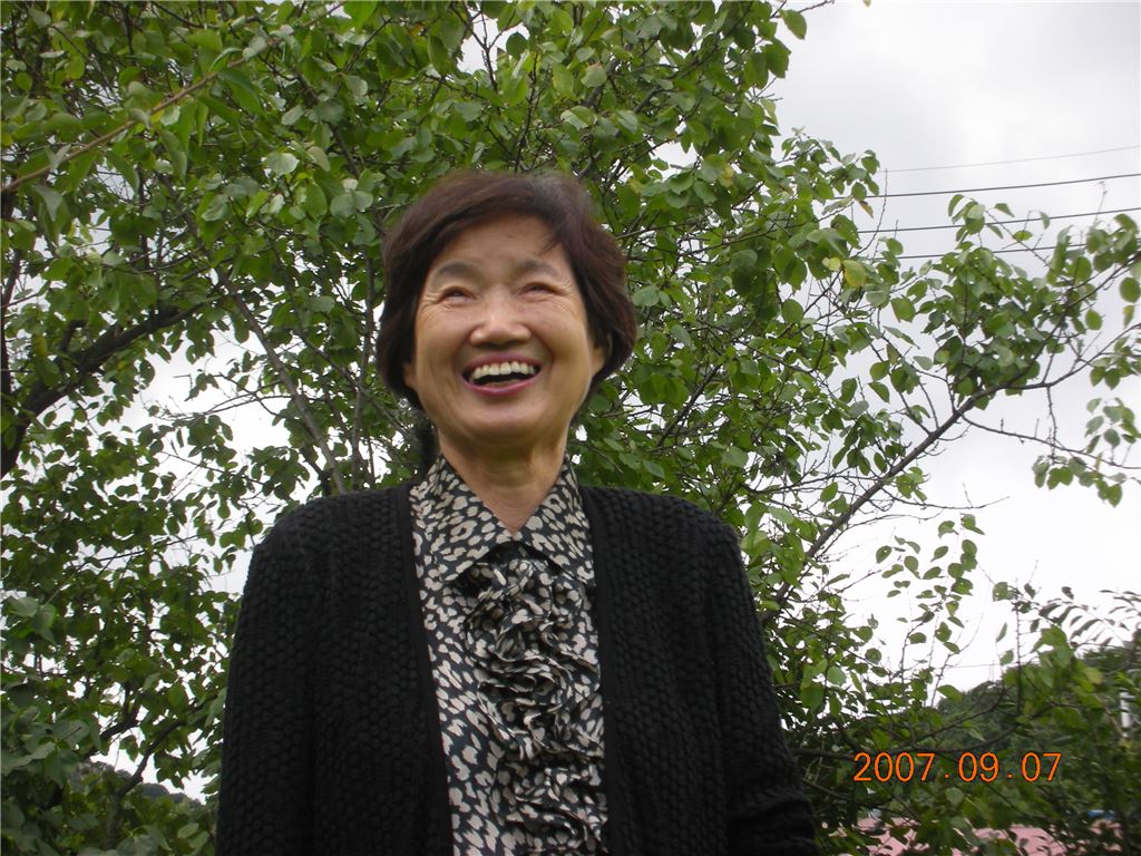 기사이미지