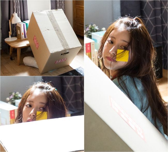 기사이미지