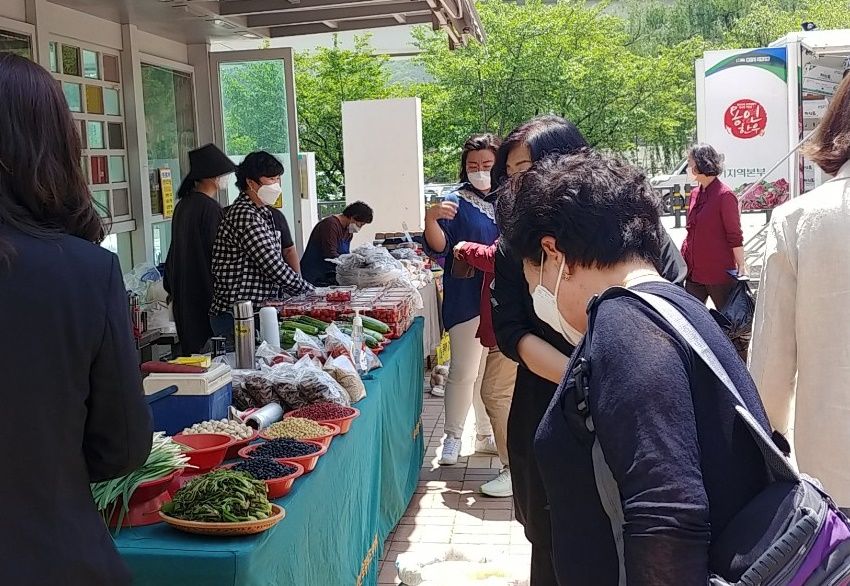 기사이미지