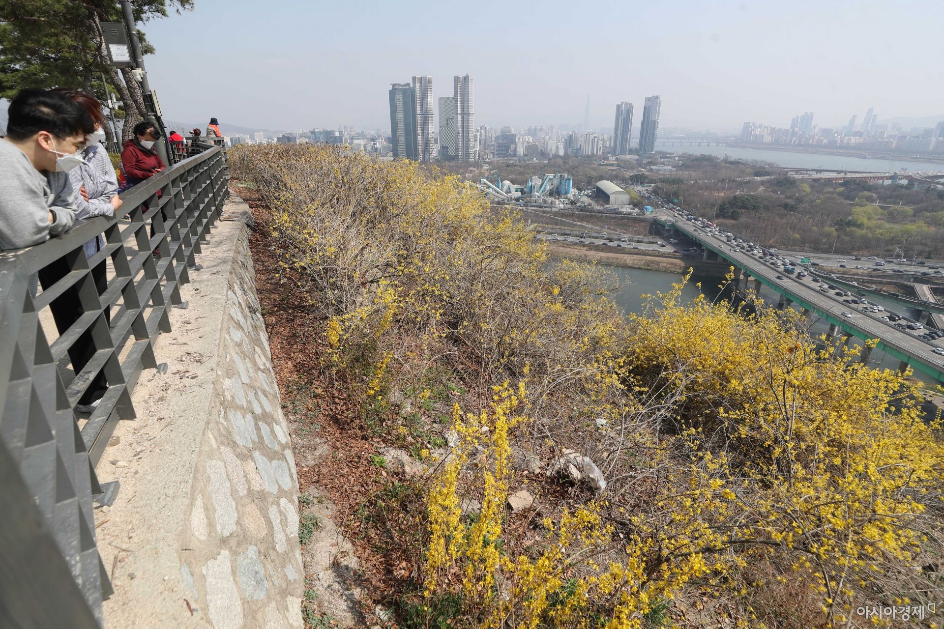 기사이미지