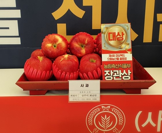 기사이미지