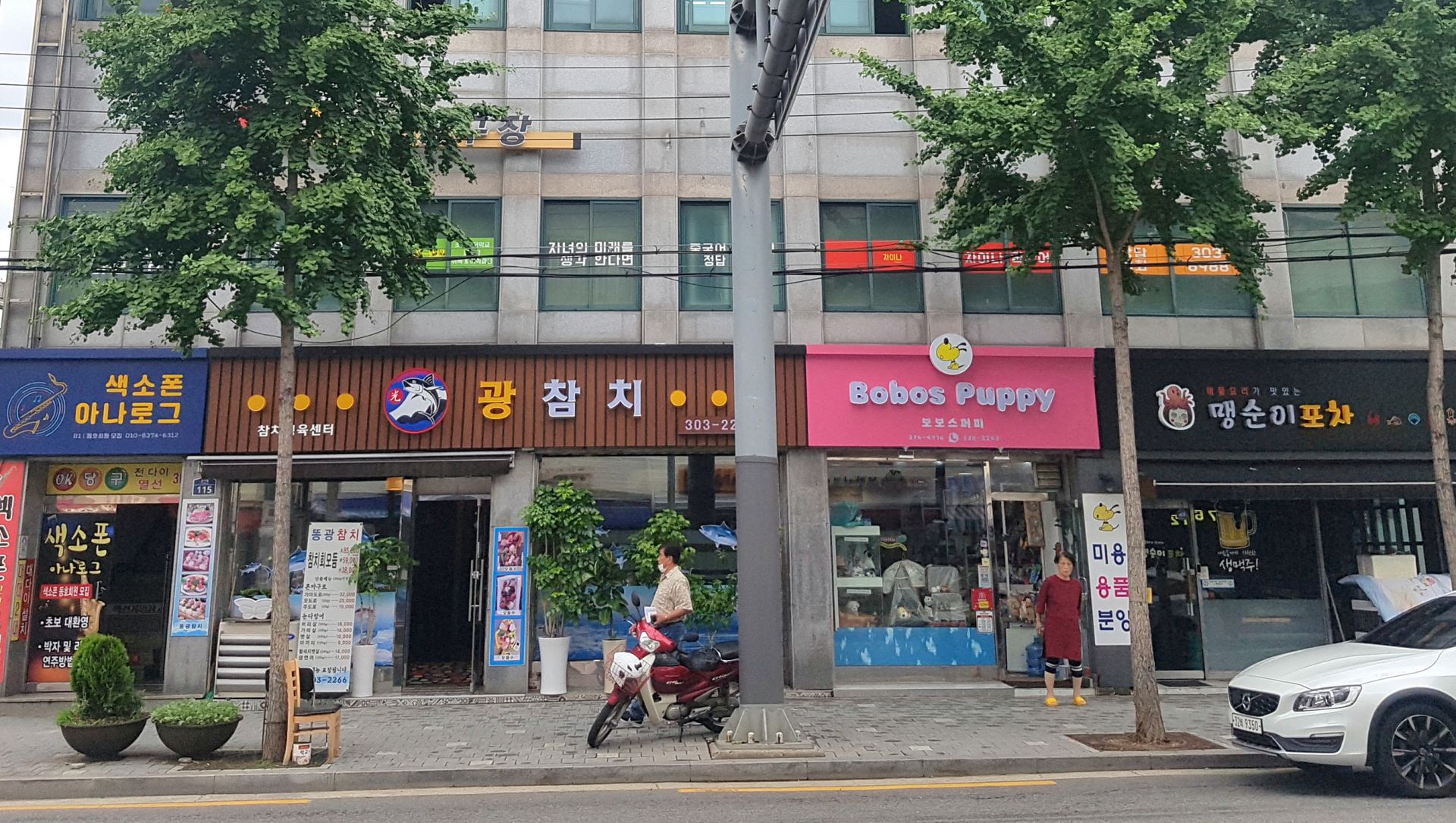 기사이미지