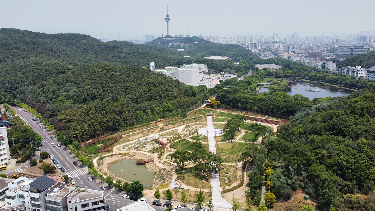 기사이미지