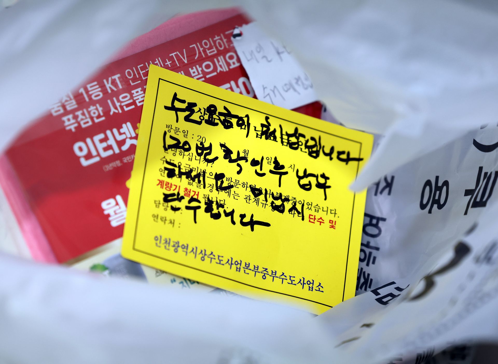 기사이미지